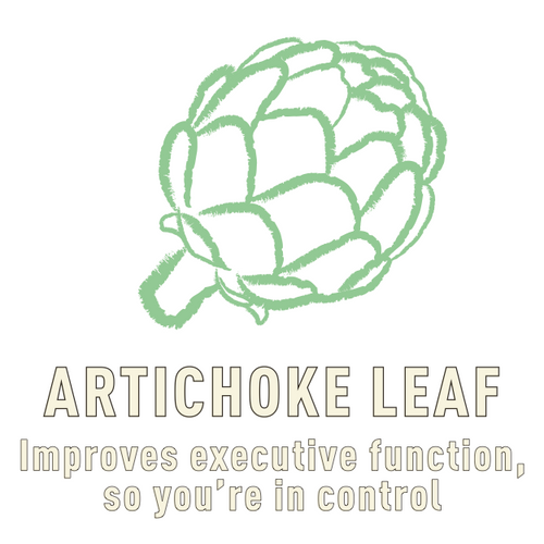 artichoke_leaf